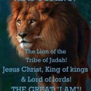 Meet your Posher, Colleen